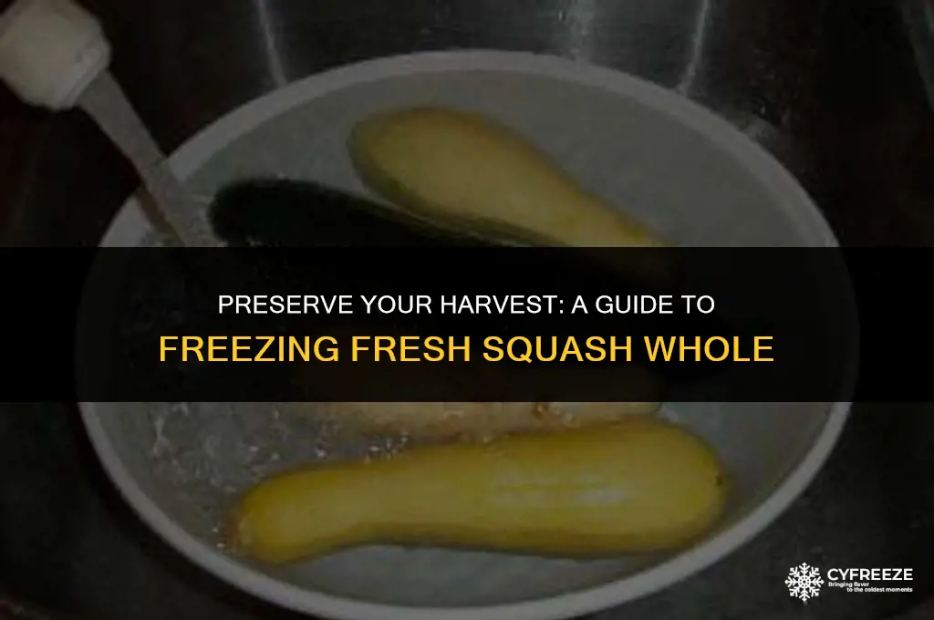 can i freeze fresh squash whole