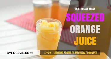 Preserve the Freshness: Freezing Your Homemade Orange Juice