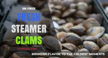 Fresh Steamer Clams: A Guide to Freezing and Preserving