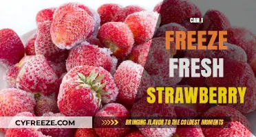 Sweet Preservation: The Ultimate Guide to Freezing Fresh Strawberries