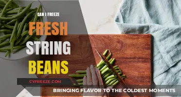 Preserving Freshness: A Guide to Freezing String Beans