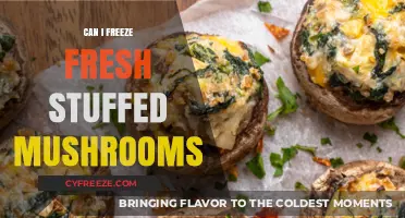 From Fresh to Frozen: A Guide to Stuffed Mushroom Preservation