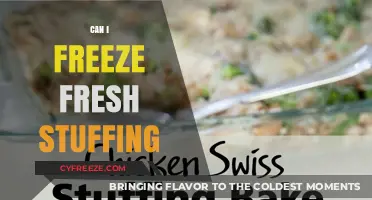 From Fresh to Frozen: The Ultimate Guide to Stuffing Preservation