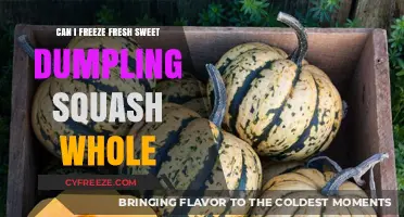 Preserve the Flavor: Freezing Fresh Sweet Dumpling Squash Made Easy