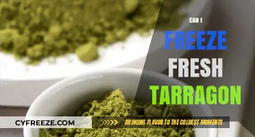 Preserve Fresh Tarragon: A Guide to Freezing Herbs