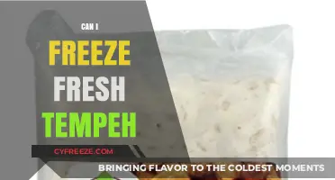 Tempeh Freezing Guide: Preserve Freshness with These Simple Steps