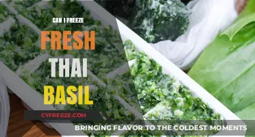 Preserve the Flavor: Freezing Fresh Thai Basil Made Easy