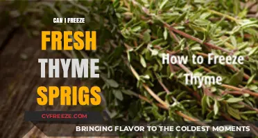 Preserve Fresh Thyme Sprigs: A Simple Freezing Guide