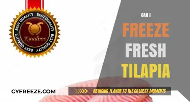 Fresh Tilapia Freezing Guide: Preserve Your Catch for Future Meals