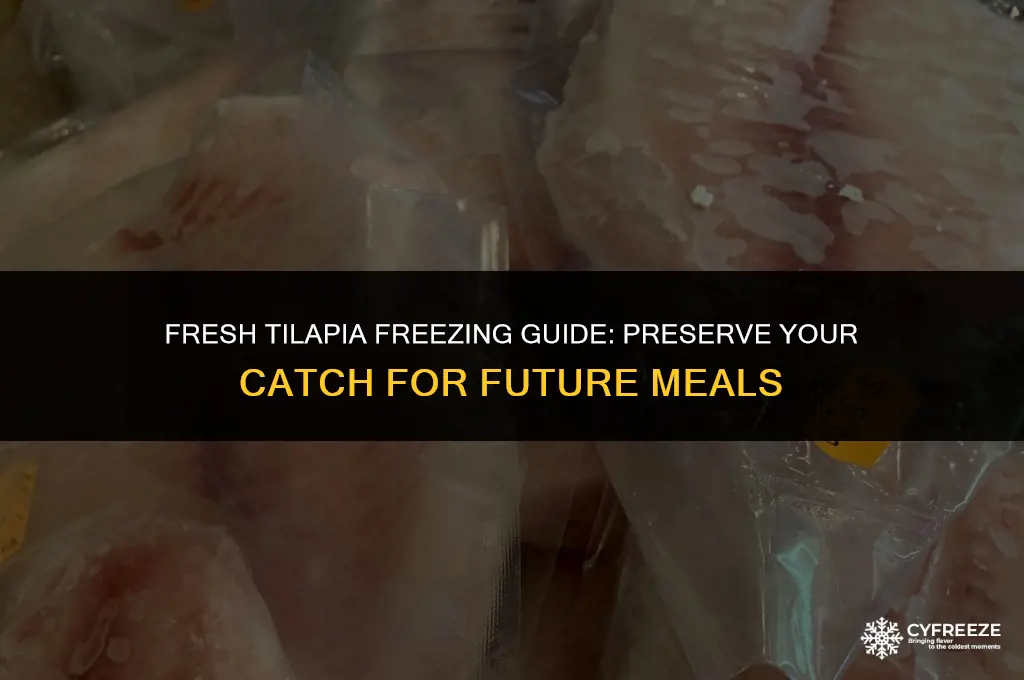 can i freeze fresh tilapia