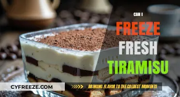 Can I Freeze Fresh Tiramisu: A Complete Guide