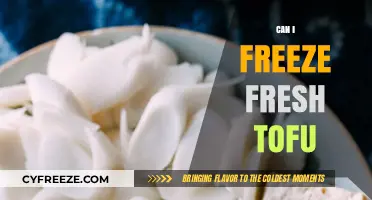 Exploring the Do's and Don'ts: Can You Freeze Fresh Tofu?