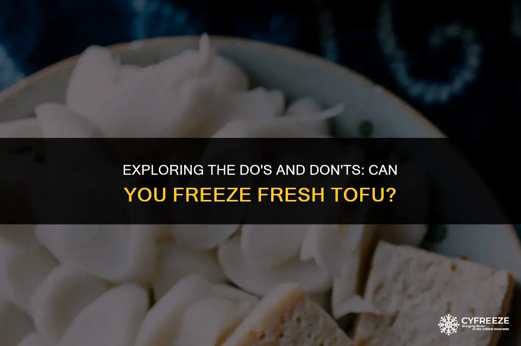 can i freeze fresh tofu