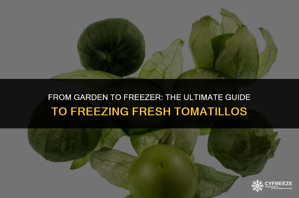 can i freeze fresh tomatillos