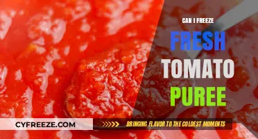Fresh Tomato Puree: Freezing Tips for Optimal Flavor and Texture