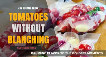 Skip the Blanching: How to Freeze Fresh Tomatoes Directly