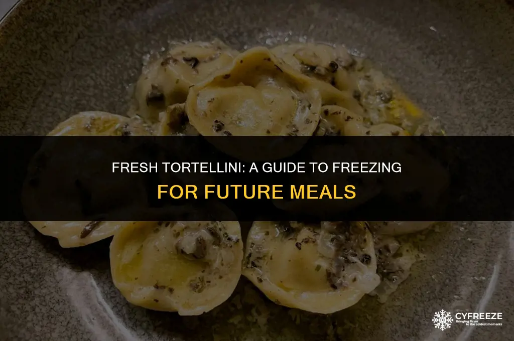 can i freeze fresh tortellini