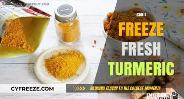 Preserving Freshness: A Guide to Freezing Turmeric for Optimal Flavor