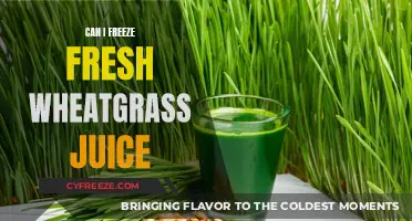 Preserve the Green Goodness: Freezing Fresh Wheatgrass Juice