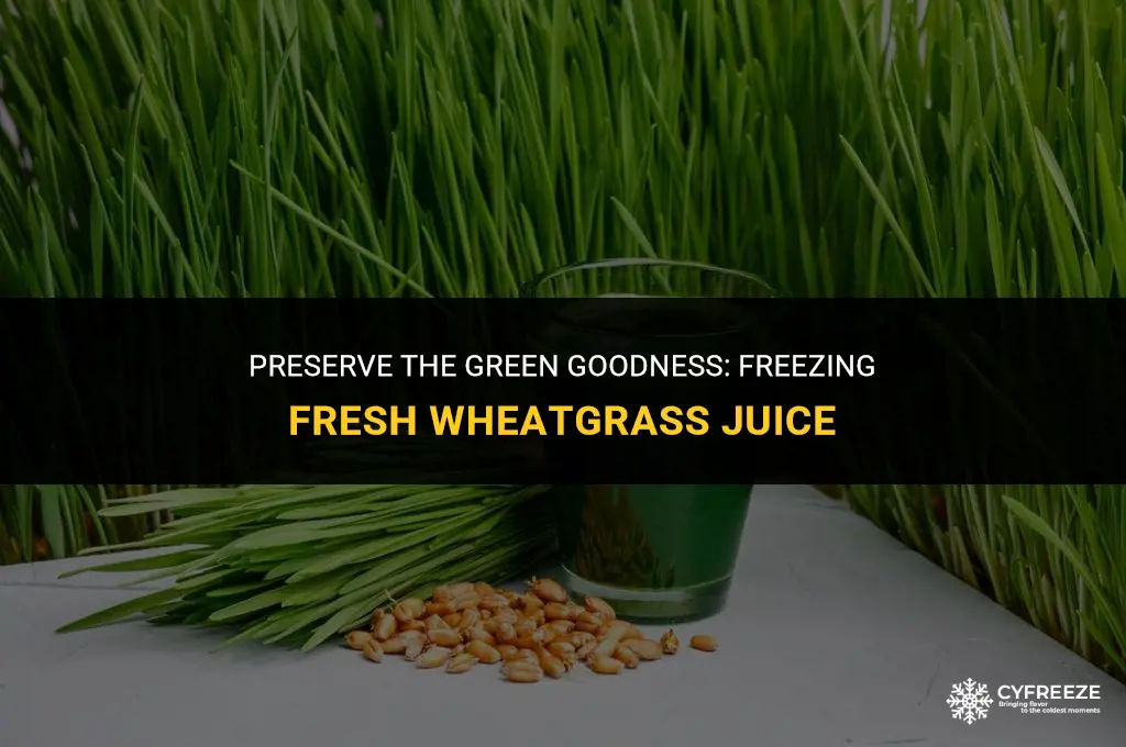 can i freeze fresh wheatgrass juice