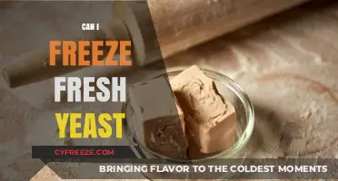 From Fresh to Frozen: A Guide to Yeast Preservation