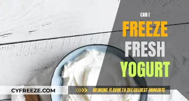 Yogurt Preservation: The Ultimate Guide to Freezing Fresh Yogurt