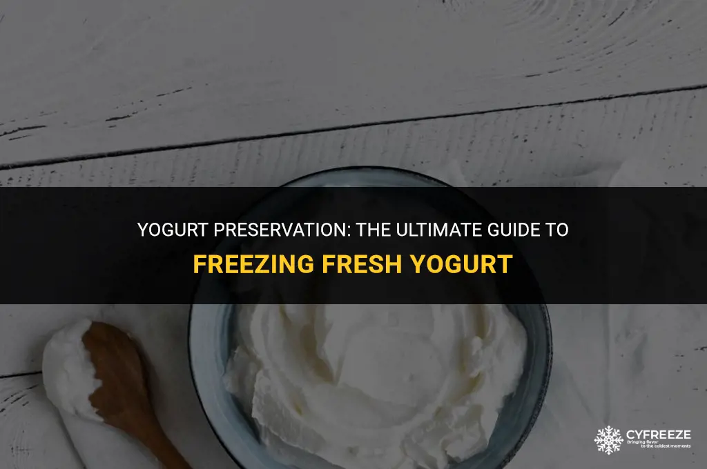 can i freeze fresh yogurt