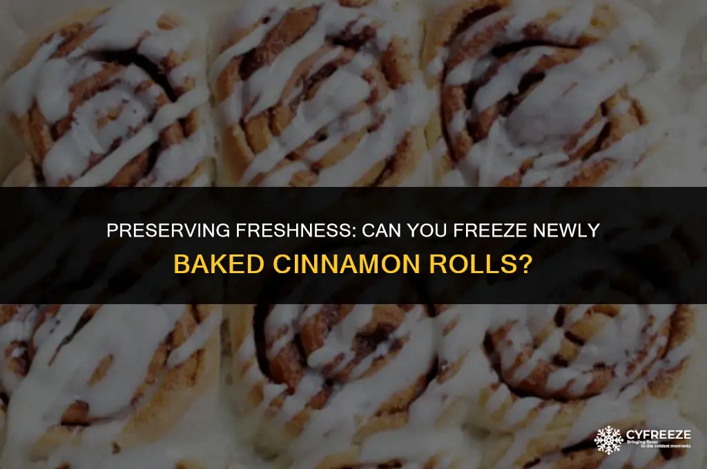 can i freeze freshly baked cinnamon rolls