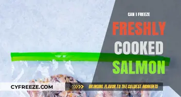 Freshly Cooked Salmon: Freezing Tips for Optimal Taste and Safety