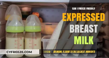 Freshly Expressed Breast Milk: Freezing Tips for New Moms