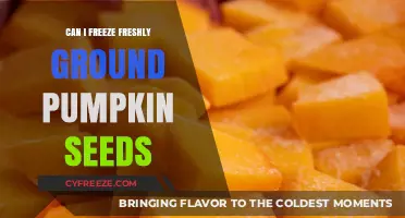 Preserve the Nutrition: Freezing Freshly Ground Pumpkin Seeds