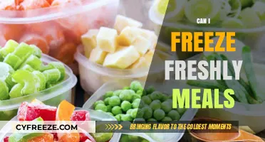 Fresh Meals, Frozen Delights: A Guide to Freezing Freshly Cooked Food