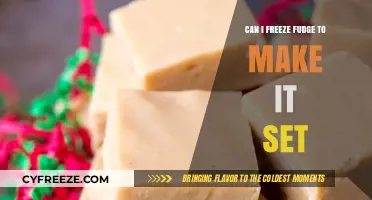 Chill to Perfection: The Art of Freezing Fudge for Optimal Setting