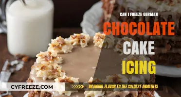 Sweet Success: Mastering the Art of Freezing German Chocolate Cake Icing