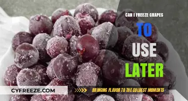 Freezing Grapes: A Handy Guide to Preserving Freshness for Later Use
