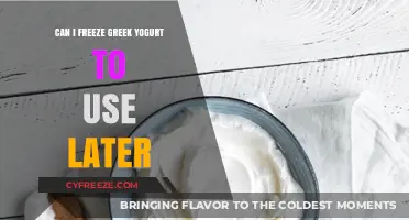Freezing Greek Yogurt: A Guide to Preserving Its Freshness for Later Use