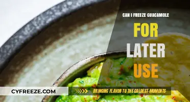 Freezing Guacamole: Tips for Preserving Freshness and Flavor Later
