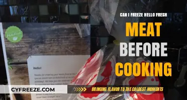 Fresh to Frozen: Can You Freeze HelloFresh Meat Before Cooking?