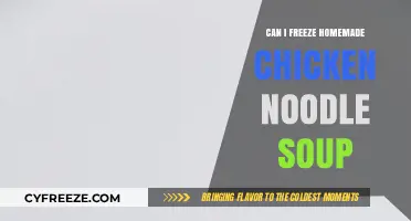 Comfort in a Container: Freezing Homemade Chicken Noodle Soup