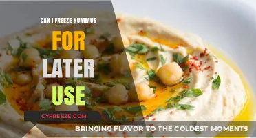 Freezing Hummus: A Guide to Preserving Your Favorite Dip