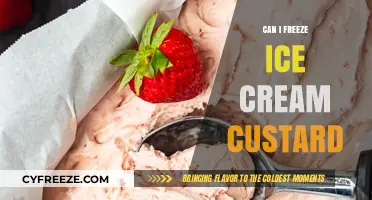 Sweet Success: Mastering the Art of Freezing Ice Cream Custard