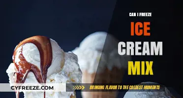 From Mix to Frozen Delight: The Ice Cream Freezing Guide
