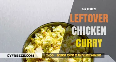 Smart Storage: Freezing Leftover Chicken Curry for Later