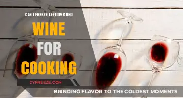 Savoring Every Drop: Freezing Leftover Red Wine for Future Culinary Creations