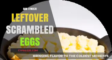 Freezing Scrambled Eggs: A Handy Guide to Saving Leftovers