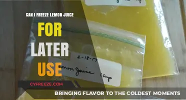Freeze Lemon Juice: A Handy Guide for Long-Term Storage