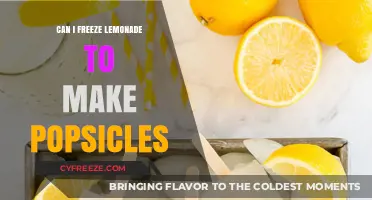 Sunny Day Treats: Turning Homemade Lemonade into Refreshing Popsicles