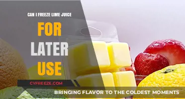 Freeze Lime Juice: A Handy Guide for Long-Term Storage