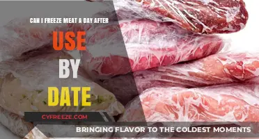 Freezing Meat After Use-By Date: Safe or Risky Move?