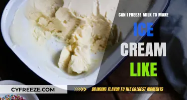 From Milk to Ice Cream: The Ultimate Freezing Guide